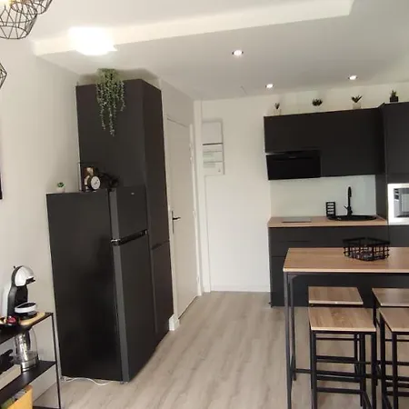 Apartamento Indy - Clim - Proche Eurexpo - Parking - Balcon Au Calme *